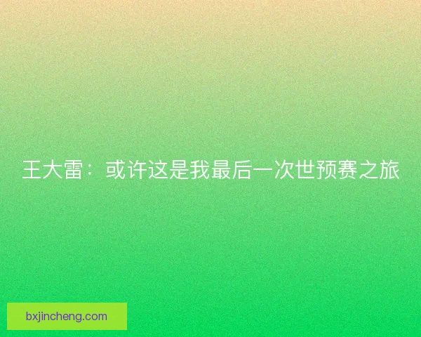 王大雷：或许这是我最后一次世预赛之旅