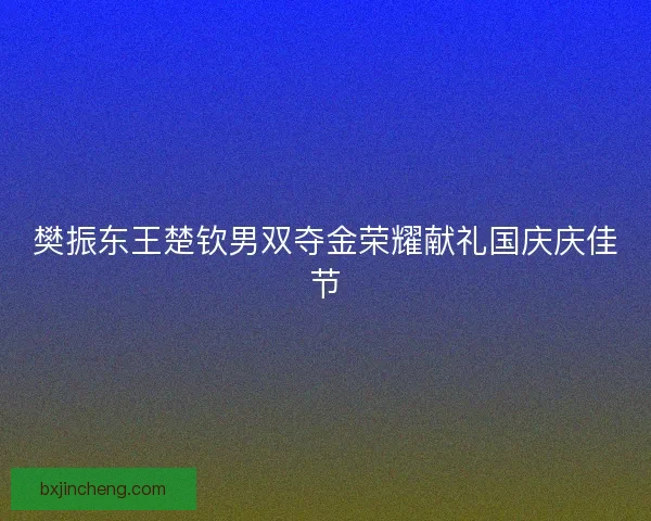 樊振东王楚钦男双夺金荣耀献礼国庆庆佳节