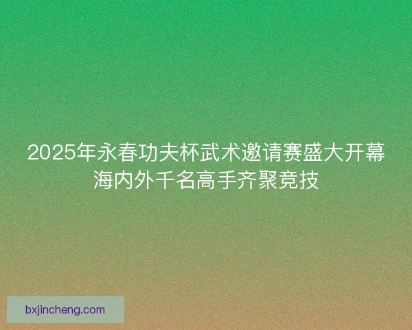 2025年永春功夫杯武术邀请赛盛大开幕海内外千名高手齐聚竞技