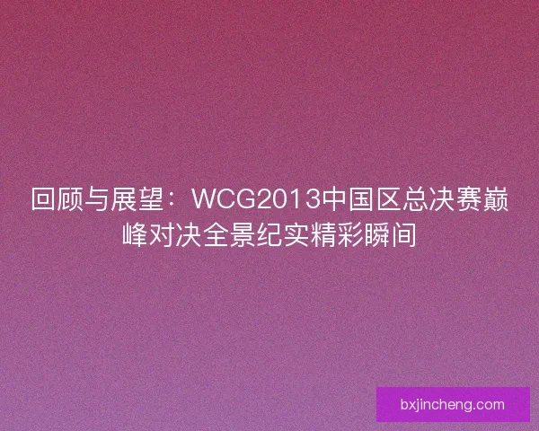 回顾与展望：WCG2013中国区总决赛巅峰对决全景纪实精彩瞬间